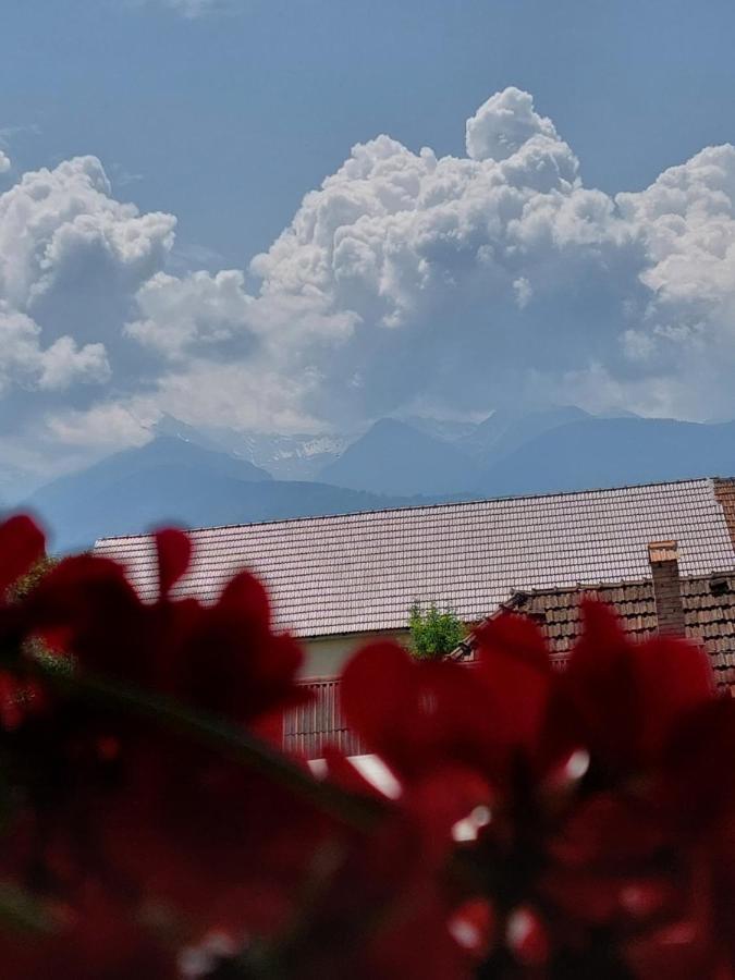 Готель Casa Cristina Кирцишоара Екстер'єр фото